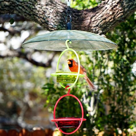 This allows you to set the height short enough however, dedicated window bird feeders themselves are not dangerous and actually help prevent collisions. When paired with any Mosaic Birds hanging feeder, this ...