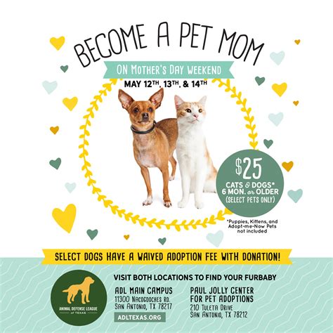 Pet adoption league receives a portion of all sells purchased at grounds and hounds coffee through this link: Become a Pet Mom - Mother's Day Adoption Special | Animal ...