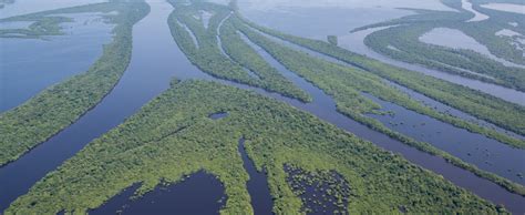 Private Rio Negro Cruise Discover The Secrets Of The Amazon