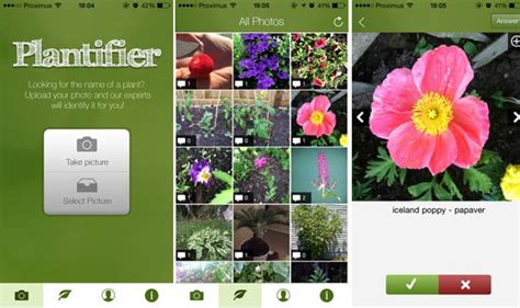 Ever spotted flowers or plants you love, in someone's garden, out in the wild or at a park, but not had a clue how to find out what they are? Best Plant Identification Apps | Balcony Garden Web