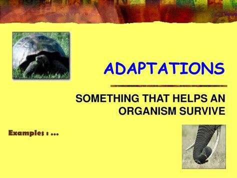 Ppt Evolution Of Living Things Powerpoint Presentation Free Download