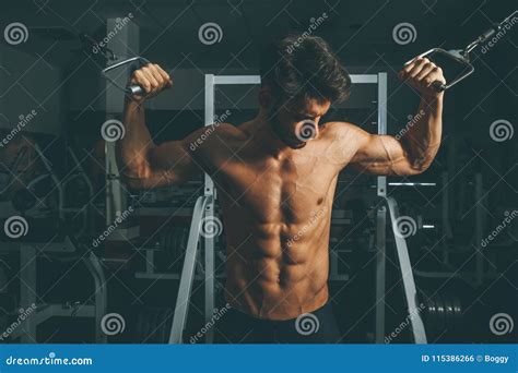 Muscular Man In Gym Doing Exercises For Biceps Stock Photo Image Of Bodybuilding Handsome