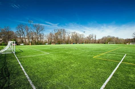 soccer field grass