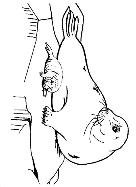 Elephant quiz print out and take a quiz on elephants. Seal Coloring Pages