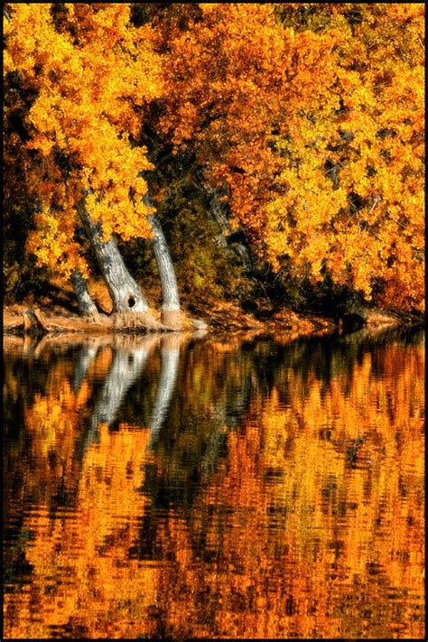 Fall Reflection Scenery Autumn Scenes Landscape