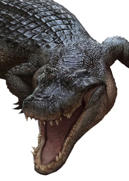 Prehistoric Crocodile Deinosuchus