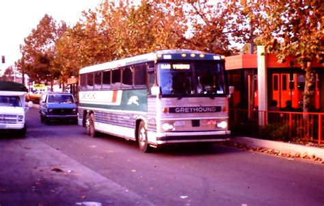 Greyhound Bus 5891 Mci Mc 9 Taken At San Ysido On Novemb Flickr