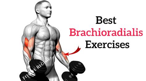Best Brachioradialis Exercises For Bigger Forearms