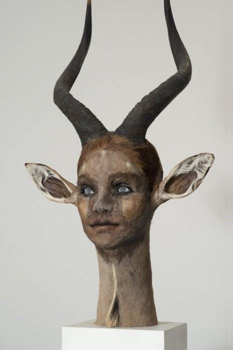 Taxidermy 101 has 13 new taxidermy how to dvds teaching how to do taxidermy from home. Taxidermy With Human Faces Is Terrifying (30 pics)
