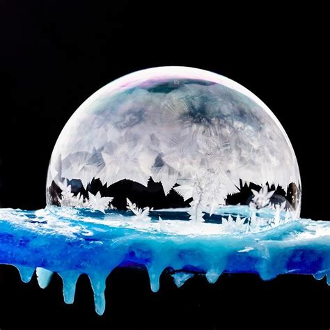 Frozen Bubble Photos Capture The Amazing Beauty Of Ice Crystals