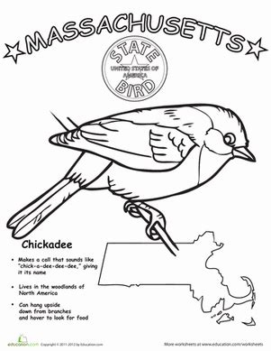 We did not find results for: Massachusetts State Bird | Worksheet | Education.com ...
