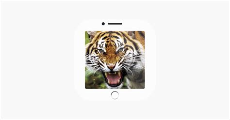 ‎150 Sounds Of Animals On The App Store