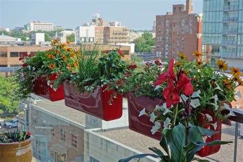 Railing planters and flowers growing prolifically in them can increase the charm of your balcony beth and bill did a balcony transformation by hanging railing planters filled with amazing low care. Railing Planters Hold Tight on High-Rise Balcony | Gardener's Journal