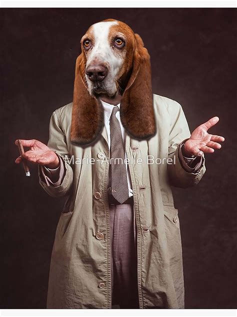 Columbos Dog Basset Hound Poster For Sale By Galeriedemarie Redbubble