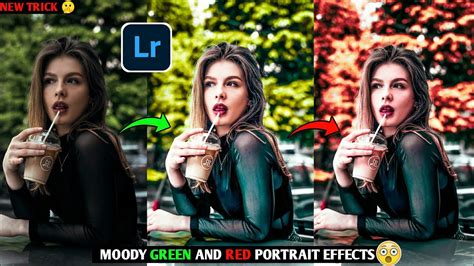 You can download them in psd, ai, eps or cdr format. Moody Green & Red portrait effect in lightroom mobile ...