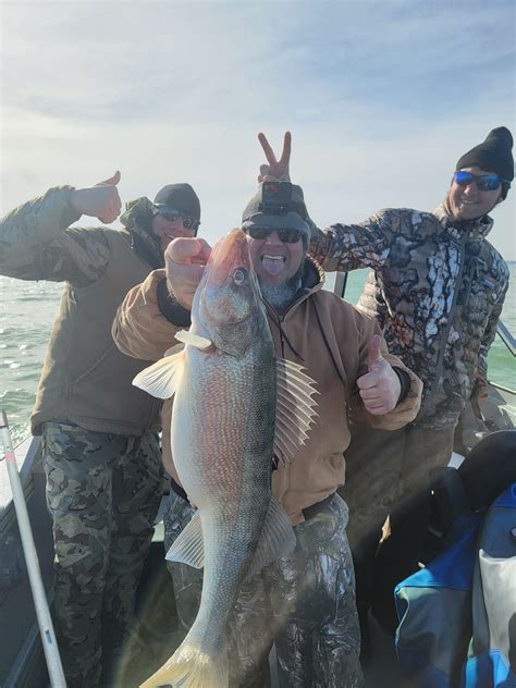 Lake Erie Walleye Fishing Report | February 20th | Blue Dolphin