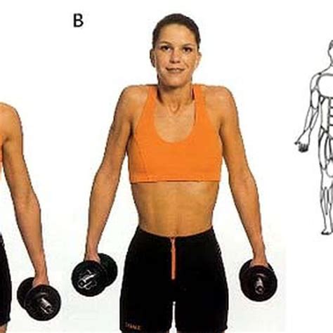 A Woman Doing Dumbbell Shrugs The Diagram Shows The Muscles