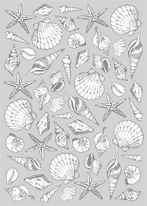 Seashell Pattern On Behance