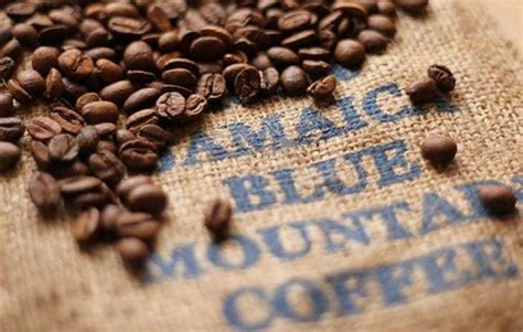 And there's a good reason. Jamaican Blue Mountain Coffee: Taste, Plantation, Best ...