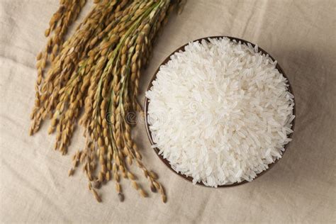 Raw Rice Stock Photo Image Of Ingredient Brown Diet 37700168