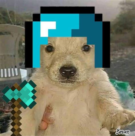 Foto De Perfil De Minecraft Chistes Graciosos De Animales Perros De