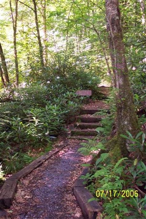 Maybe you would like to learn more about one of these? Jefferson National Forest Grindstone Campground, Troutdale ...