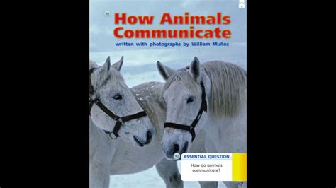 How Animals Communicate Lessons Blendspace