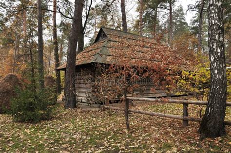 Cabin In The Woods Stock Image Image Of Scene Landscape 73988567