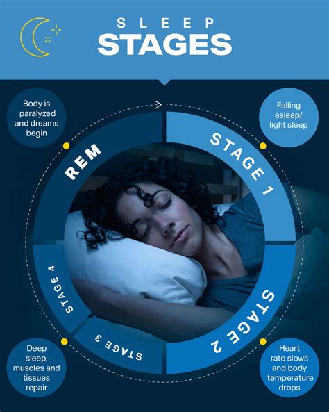 stage 1 sleep cycle