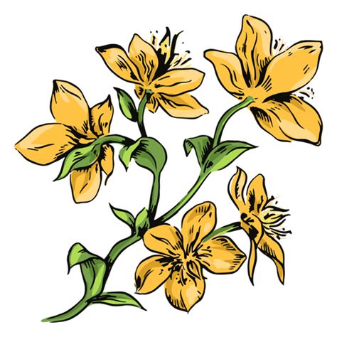 Flores amarillas rama ilustración flores Descargar PNG SVG transparente