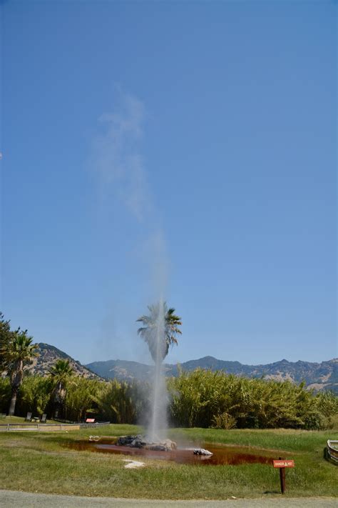 the old faithful geyser of california calistoga ca napa valley california northwest usa