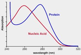 If it is lower, this might be an indication from contamination or proteins, phenol the 260/230 ratio is a second measure for purity of the sample, as the contaminants absorb at 230nm (like edta). 测?A260/A280?、A260/A230?就知道?DNA?纯不纯，这是为什么呢？