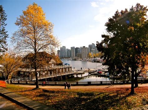 Stanley Park Photowalk Fall Colours Vancouver Blog Miss604