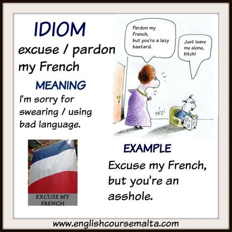 Idiom Excuse My French English Course Malta