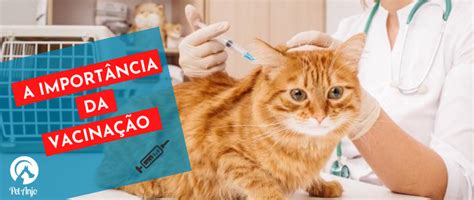 *vacinação de forma escalonada, clique aqui para mais informações. Você sabe a importância da vacinação de pets? - Blog da ...