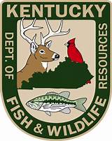 Images of Ky Fishing License Reprint