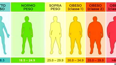 Calcolo Imc Come Calcolare L Indice Di Massa Corporea E Il Peso Ideale