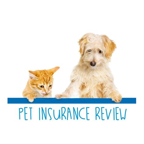 Pet Insurance Review Youtube