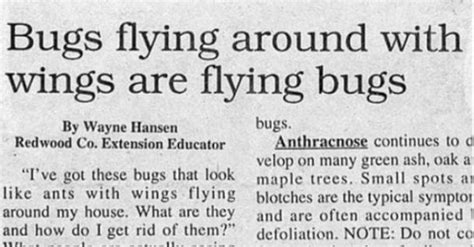 39 wtf headlines that will confuse you funny gallery ebaum s world