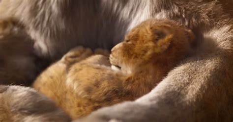 The Lion King 2019 Official Teaser Trailer New Idea Magazine