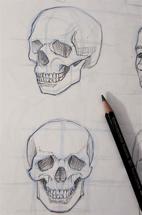 Drawing A Skull In Different Perspectives Scull Drawing Simple Skull