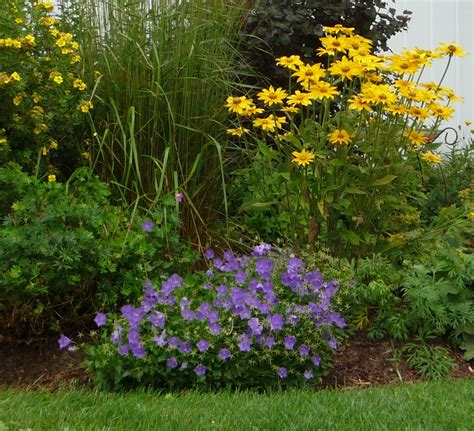 The ultimate goal it to include plant material of varying rock gardens, borders, cut flowers. Ontario Gardeners' Anonymous: Perennials in My Garden