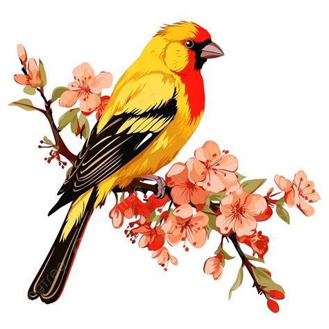 Yellow Bird Sits On A Branch With Red Flowers Bird Yellow Design Png