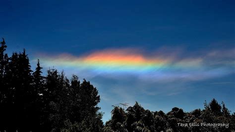 Circumhorizontal Arc Or Fire Rainbow Over The Pacific Northwest