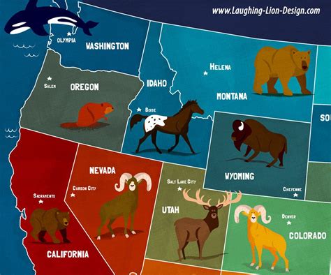 A Map Of The Usa Featuring Each State Animal This Is One Map From A