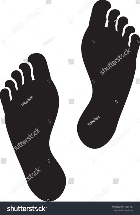 Two Black Man Footprints Vector Illustration Arkivvektor Royaltyfri