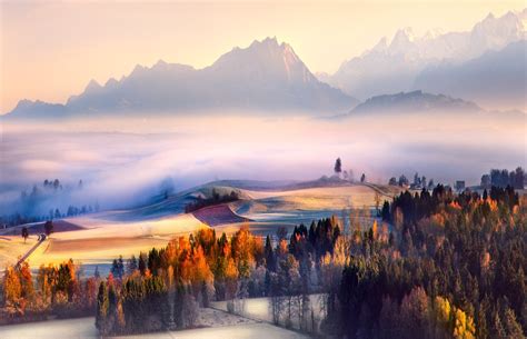 Fall Morning Mist Switzerland Sunrise Mountain