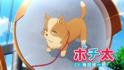 My Life as Inukai-san’s Dog Gets "Wonderful" Versions of Trailer and Visual