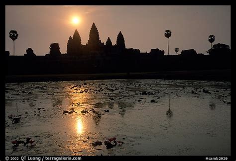 Picturephoto Angkor Wat Reflected In Pond At Sunrise Angkor Cambodia