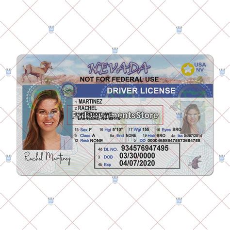 Nevada Driver License Psd Template Psd Doc Store